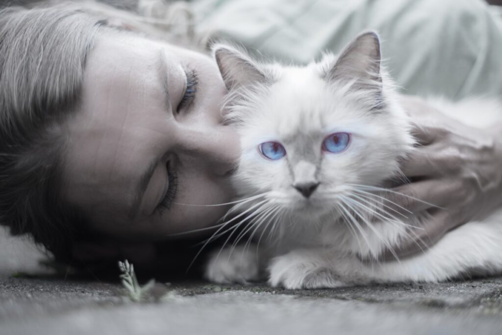 The free high-resolution photo of person, black and white, people, girl, woman, hair, white, animal, cute, female, love, pet, fur, portrait, young, fluffy, kitten, cat, feline, kiss, mammal, care, blue, friendship, monochrome, lady, holding, smile, close up, cuddle, eyes, whiskers, happy, furry, vertebrate, owner, attractive, cute animals, small to medium sized cats, cat like mammal, carnivoran, domestic short haired cat, birman